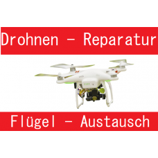 Drohnen Flügelaustauch